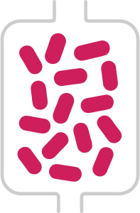 Image of PDGF purification represented by pink cells in a container