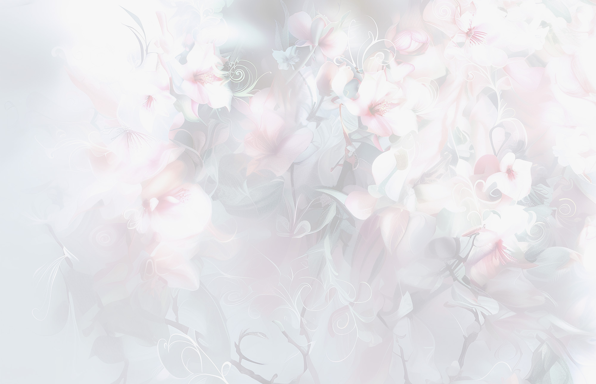 A faded back abstract image of white and pink flowers