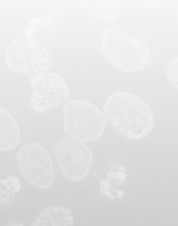 Faded black and white photo of cells